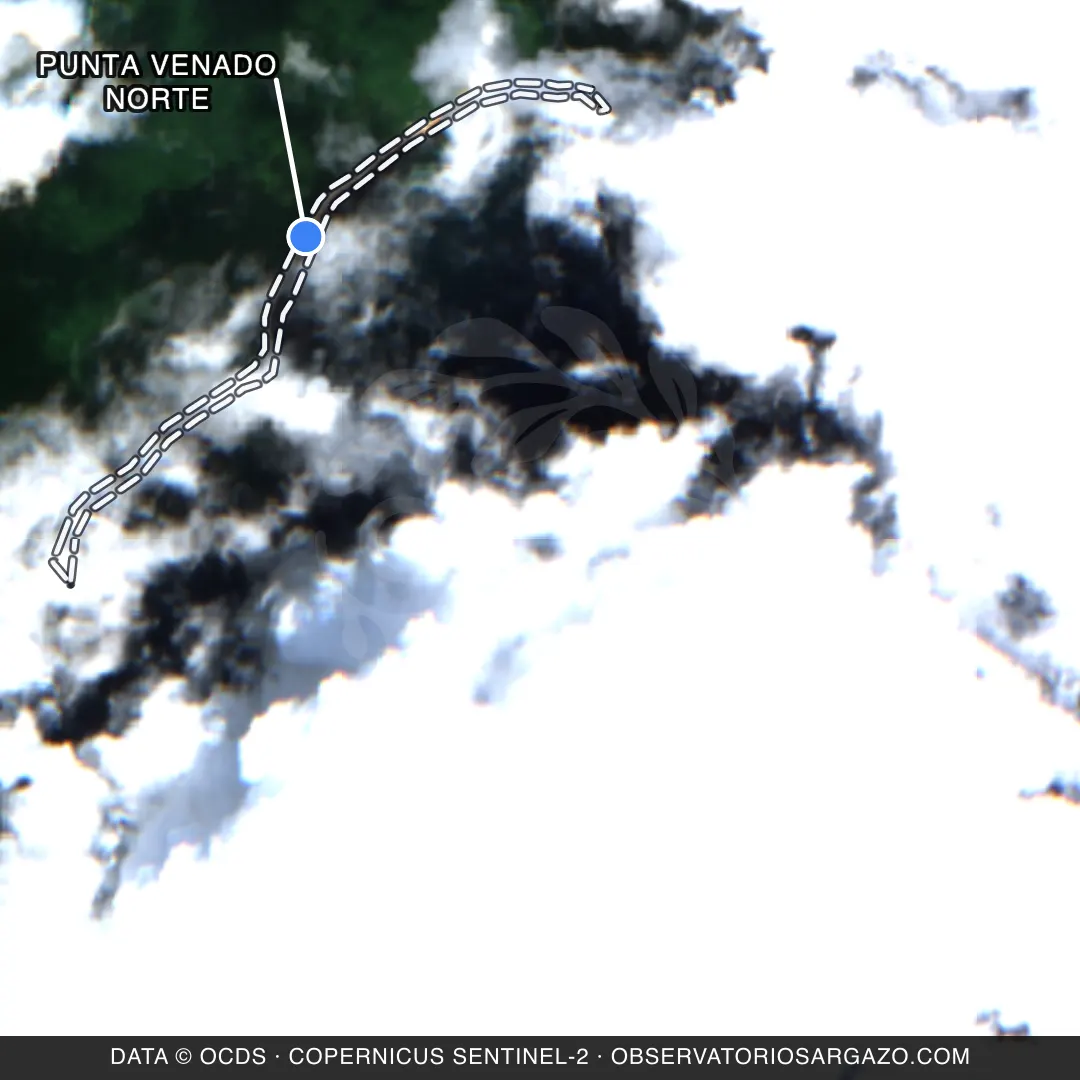Satellite image of sargassum at Punta Venado Norte beach, Riviera Maya — unobservable, October 22, 2026