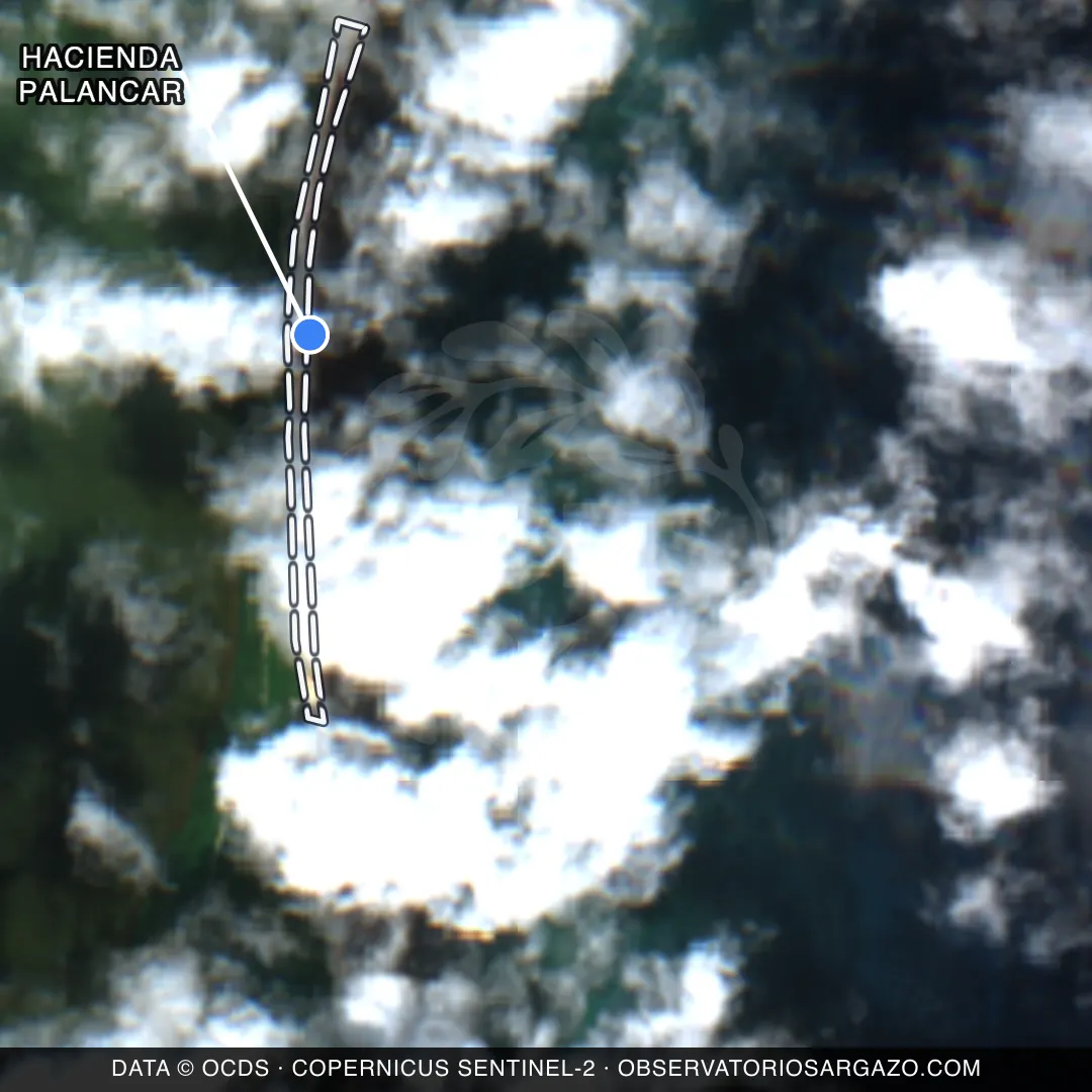 Satellite image of sargassum at Hacienda Palancar beach, Sian Kaan — unobservable, October 22, 2026