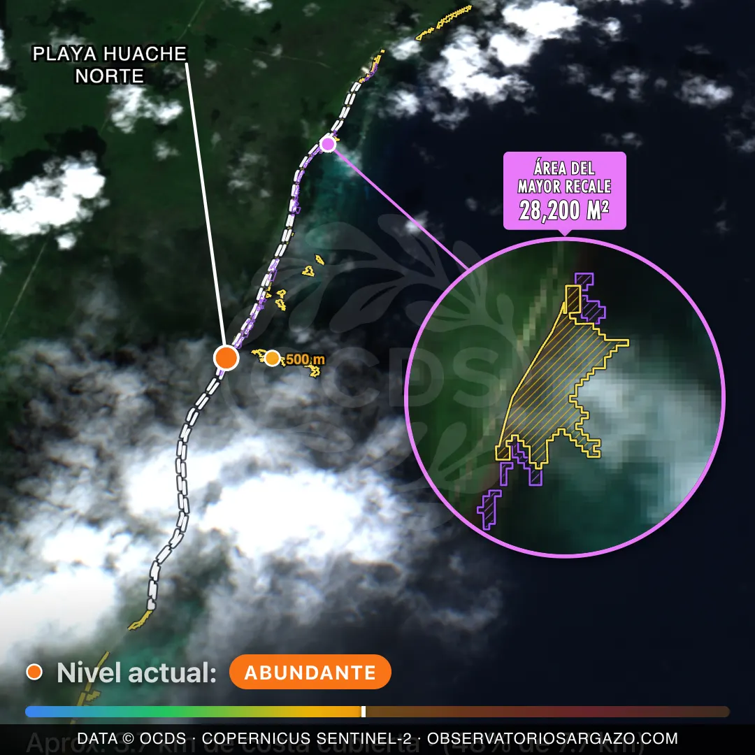 Imagem de satélite do sargaço na praia Playa Huache Norte, Xcalak — sargaço alto, 22 de outubro de 2026