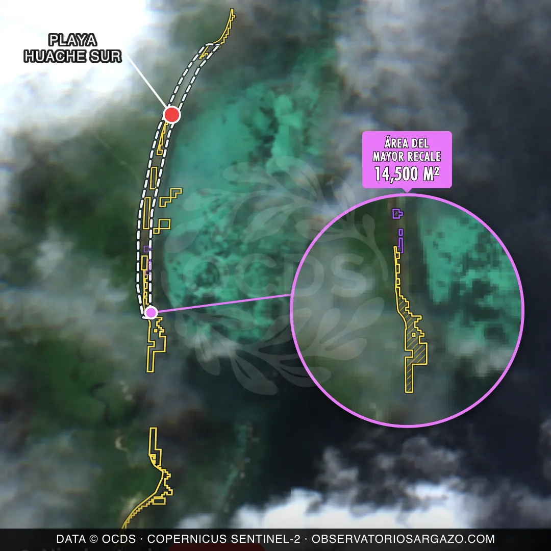 Imagem de satélite do sargaço na praia Playa Huache Sur, Xcalak — sargaço crítico, 22 de outubro de 2026