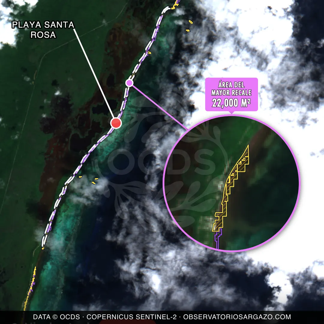 Imagem de satélite do sargaço na praia Playa Santa Rosa, Xcalak — sargaço crítico, 22 de outubro de 2026