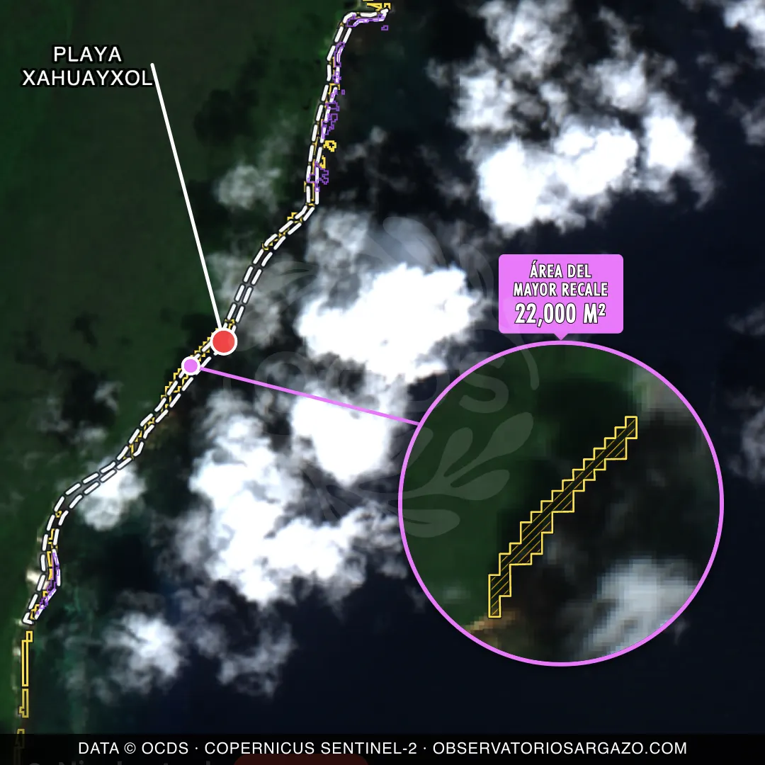Imagem de satélite do sargaço na praia Playa Xahuayxol, Xcalak — sargaço crítico, 22 de outubro de 2026