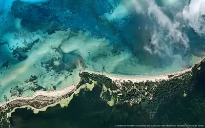Ilustración aérea de la playa Isla Pasión, Cozumel, Caribe Mexicano