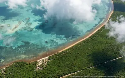 Illustration aérienne de la plage Playa Huache Sur, Xcalak, Caraïbes mexicaines