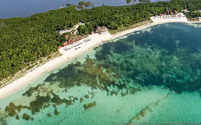 Ilustración aérea de la playa Punta Sur (Cozumel), Cozumel, Caribe Mexicano