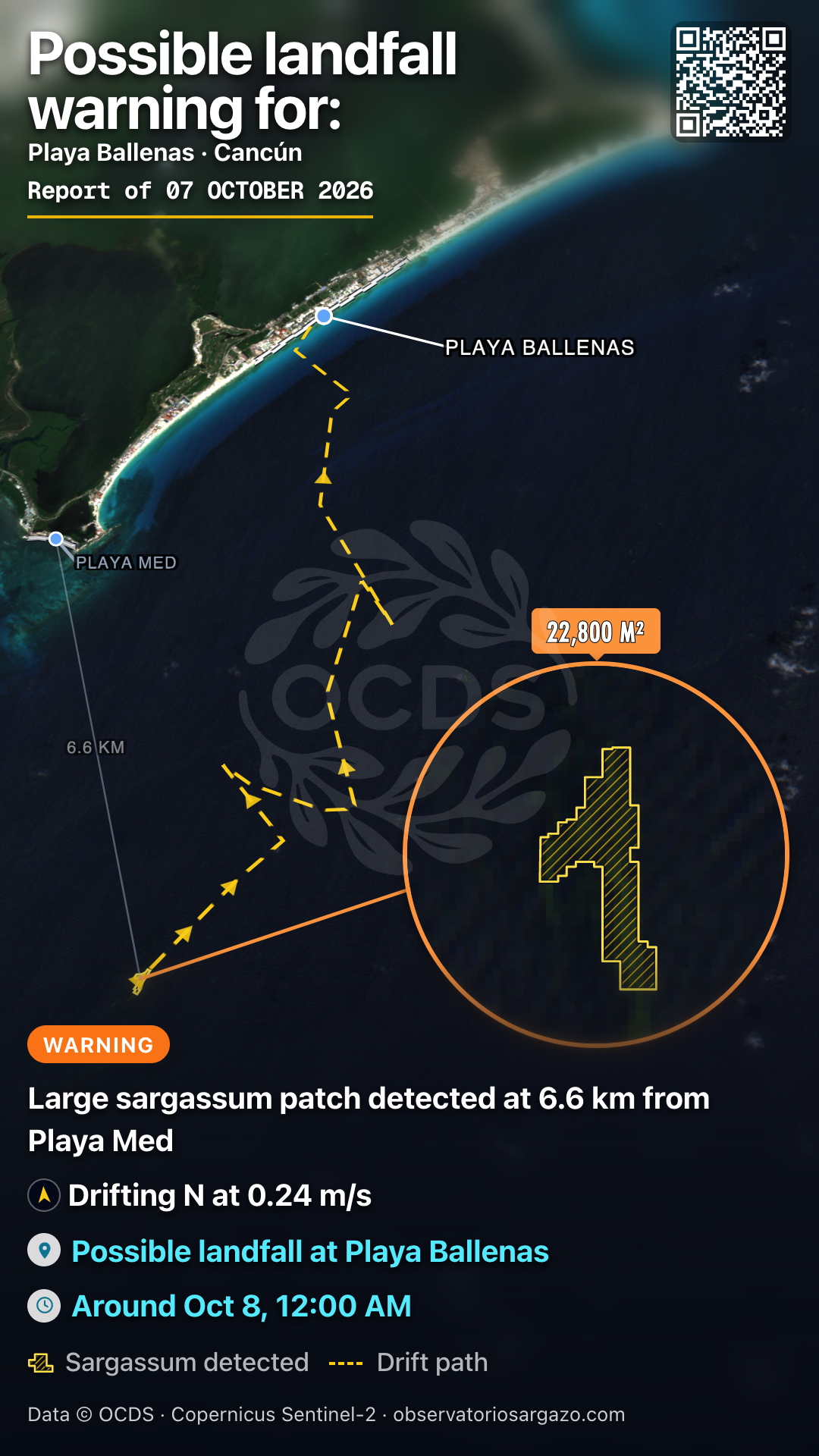 Sargassum patch of 22,800 m² at 6.6 km. from the coast near Playa Med — N