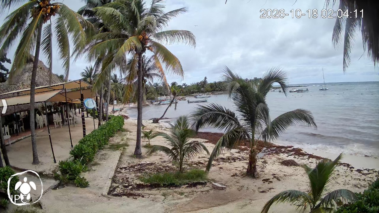 Akumal — Atual (17 de out.)