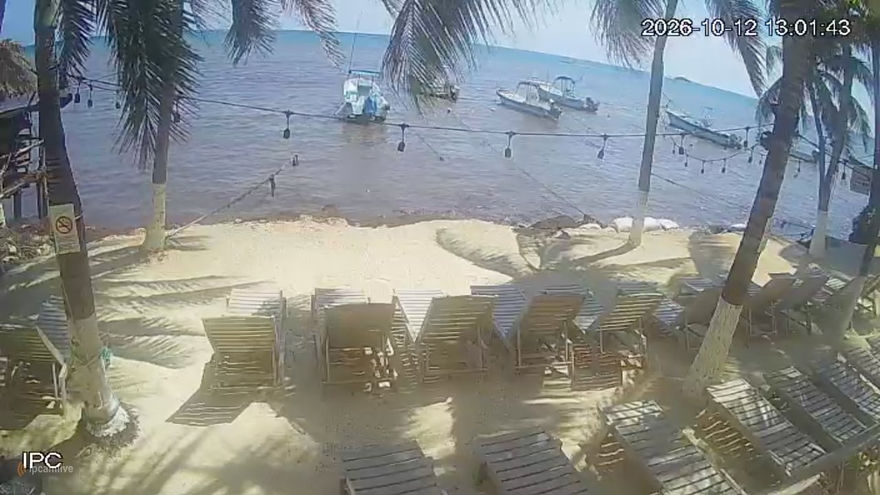 Vista attuale dalla webcam — Playa Calle 8