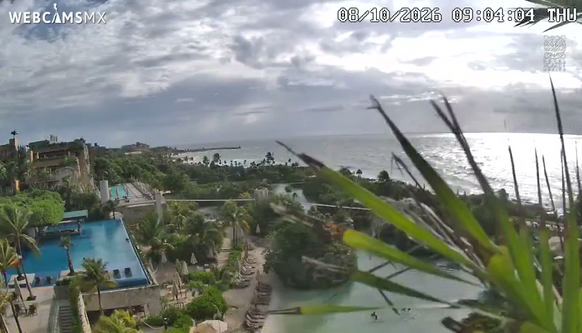 Xcaret Arte — Prima (8 ott)