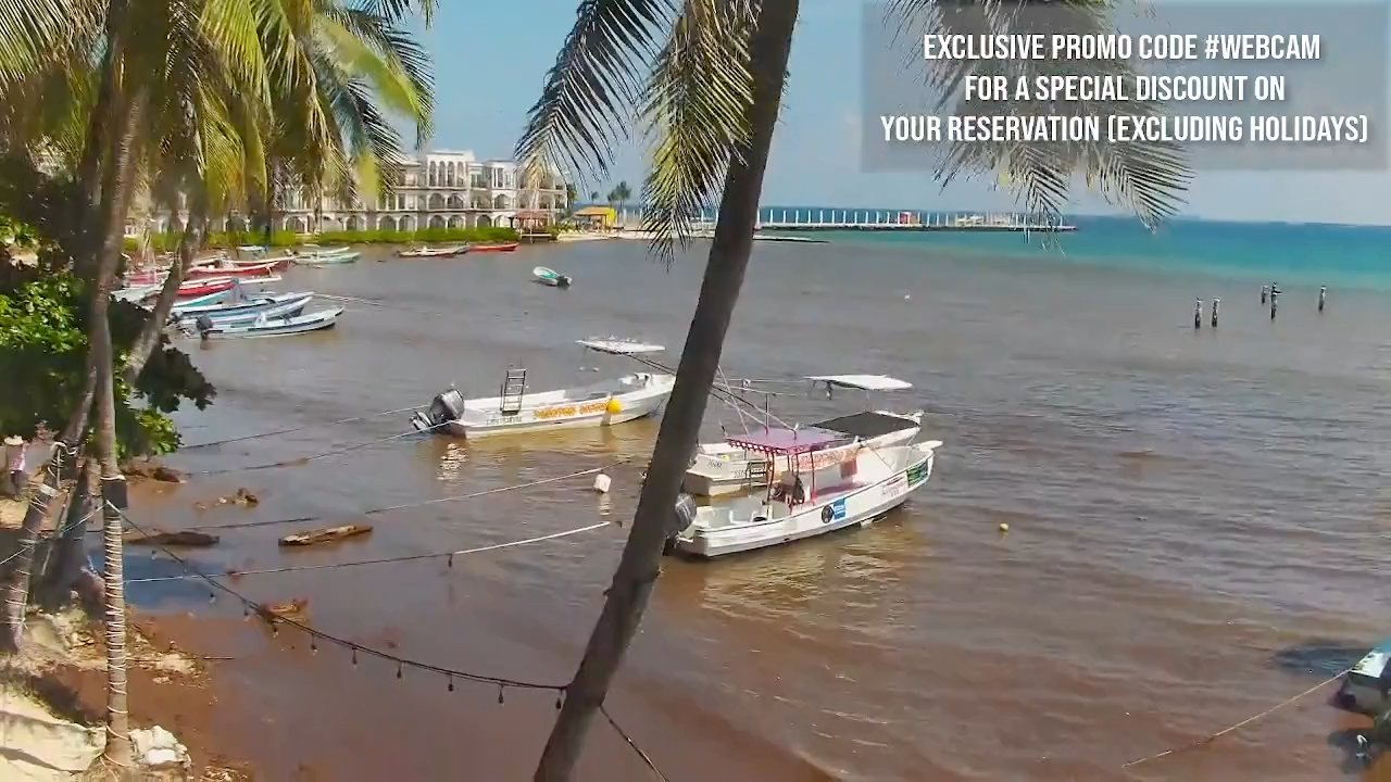 Vista attuale dalla webcam — Playa Calle 12