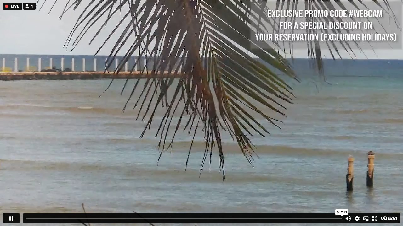 Playa Calle 12 — Current (Oct 22)