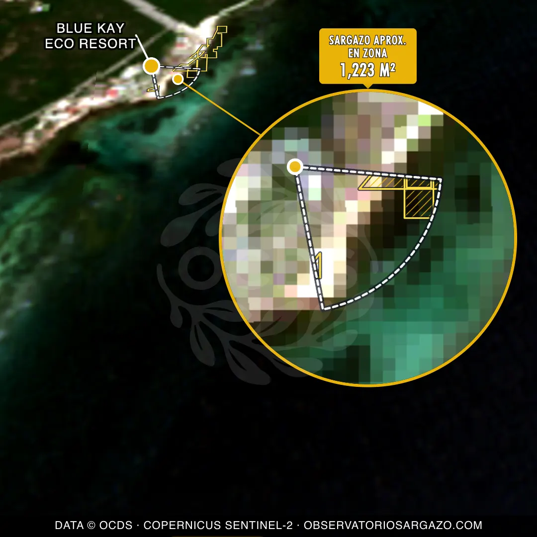 Estado del sargazo — Blue Kay Eco Resort