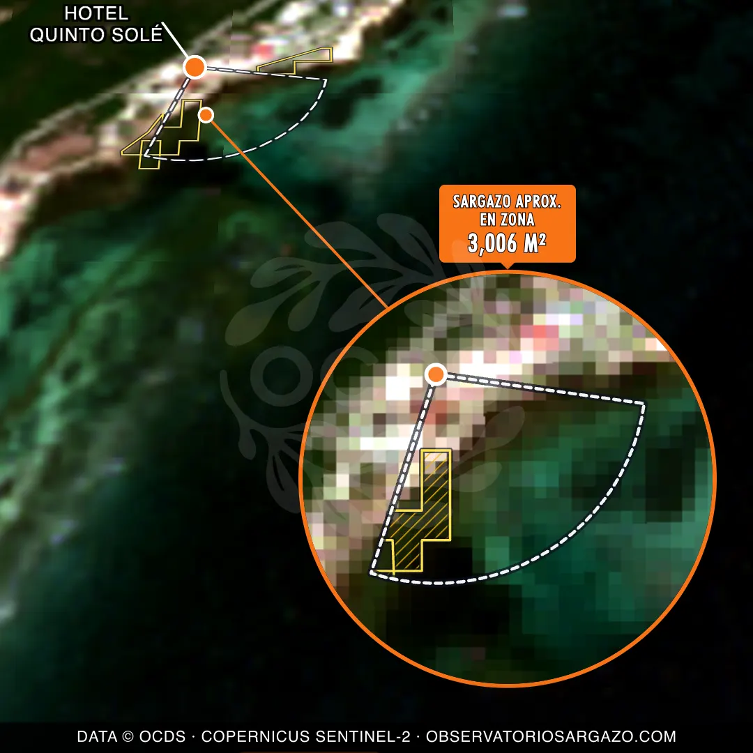 Estado del sargazo — Hotel Quinto Solé