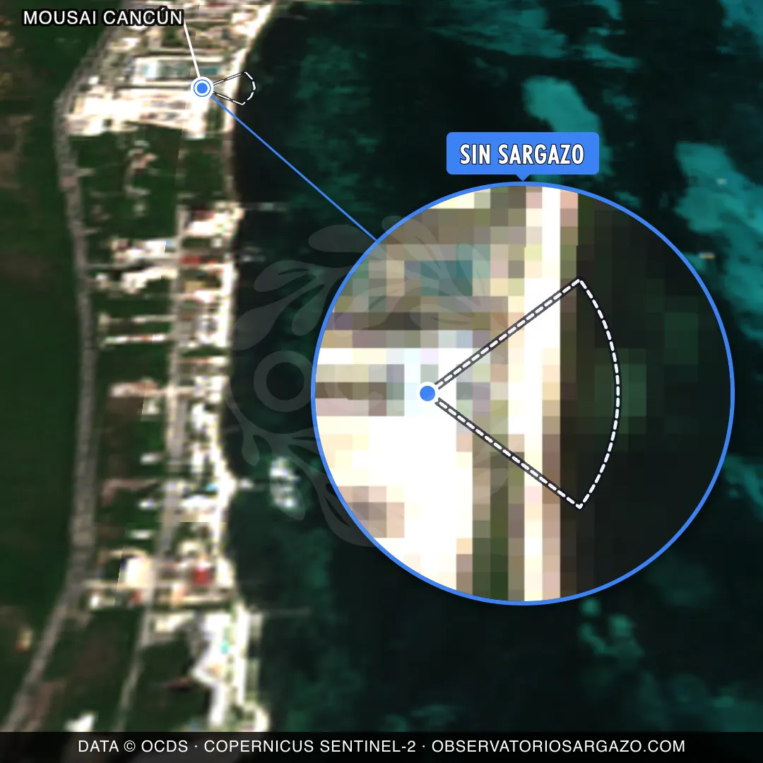 Estado del sargazo — Mousai Cancún