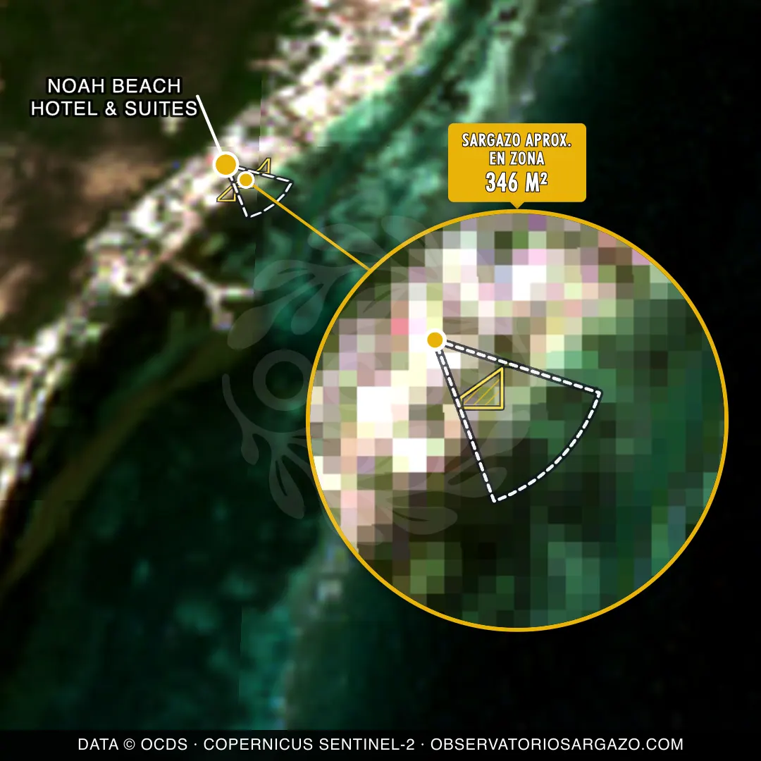 Estado del sargazo — Noah Beach Hotel & Suites