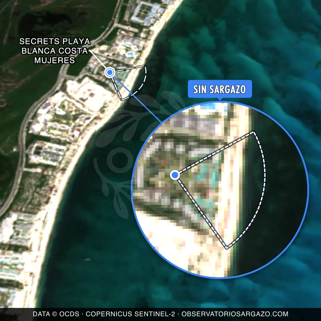 Estado del sargazo — Secrets Playa Blanca Costa Mujeres