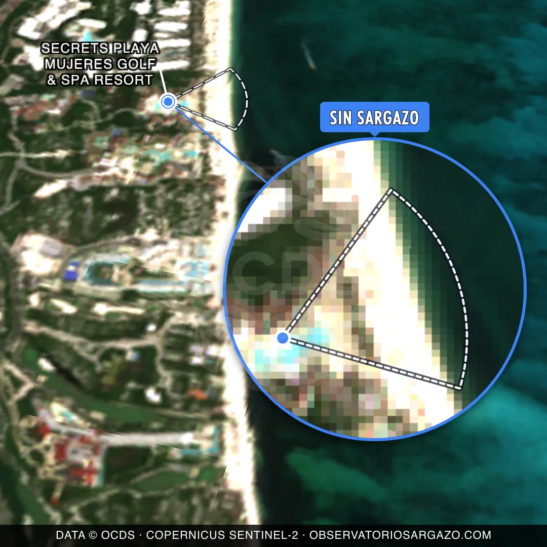 Estado del sargazo — Secrets Playa Mujeres Golf & Spa Resort