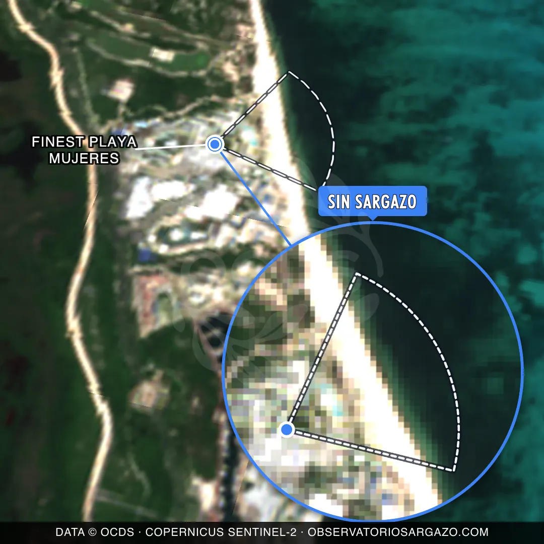 Estado del sargazo — Finest Playa Mujeres