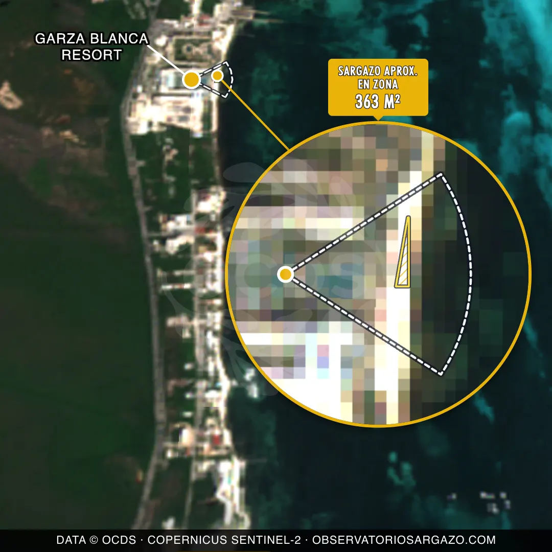 Estado del sargazo — Garza Blanca Resort