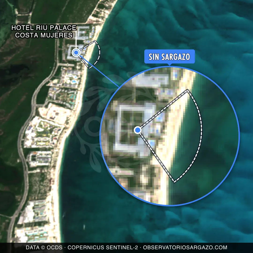 Estado del sargazo — Hotel Riu Palace Costa Mujeres
