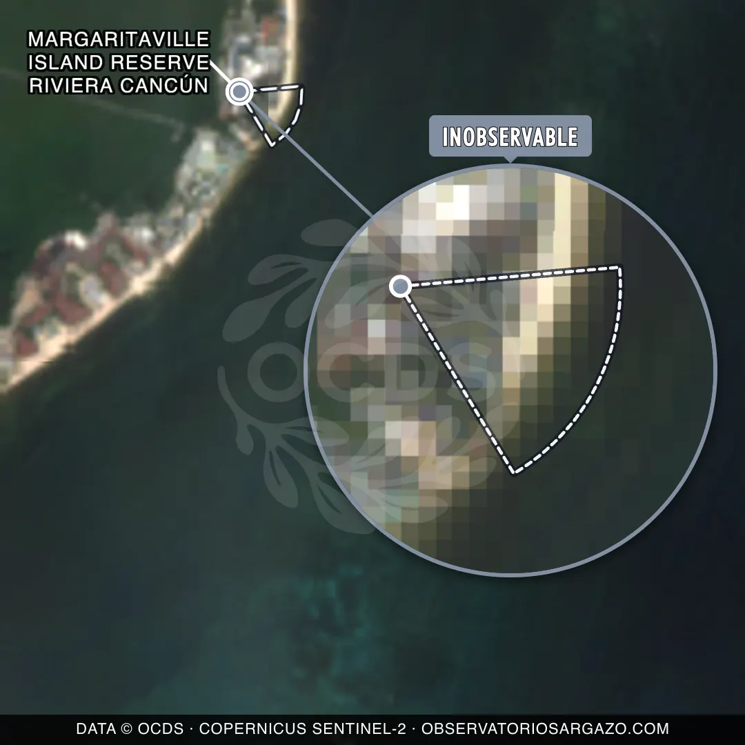 Estado del sargazo — Margaritaville Island Reserve Riviera Cancún