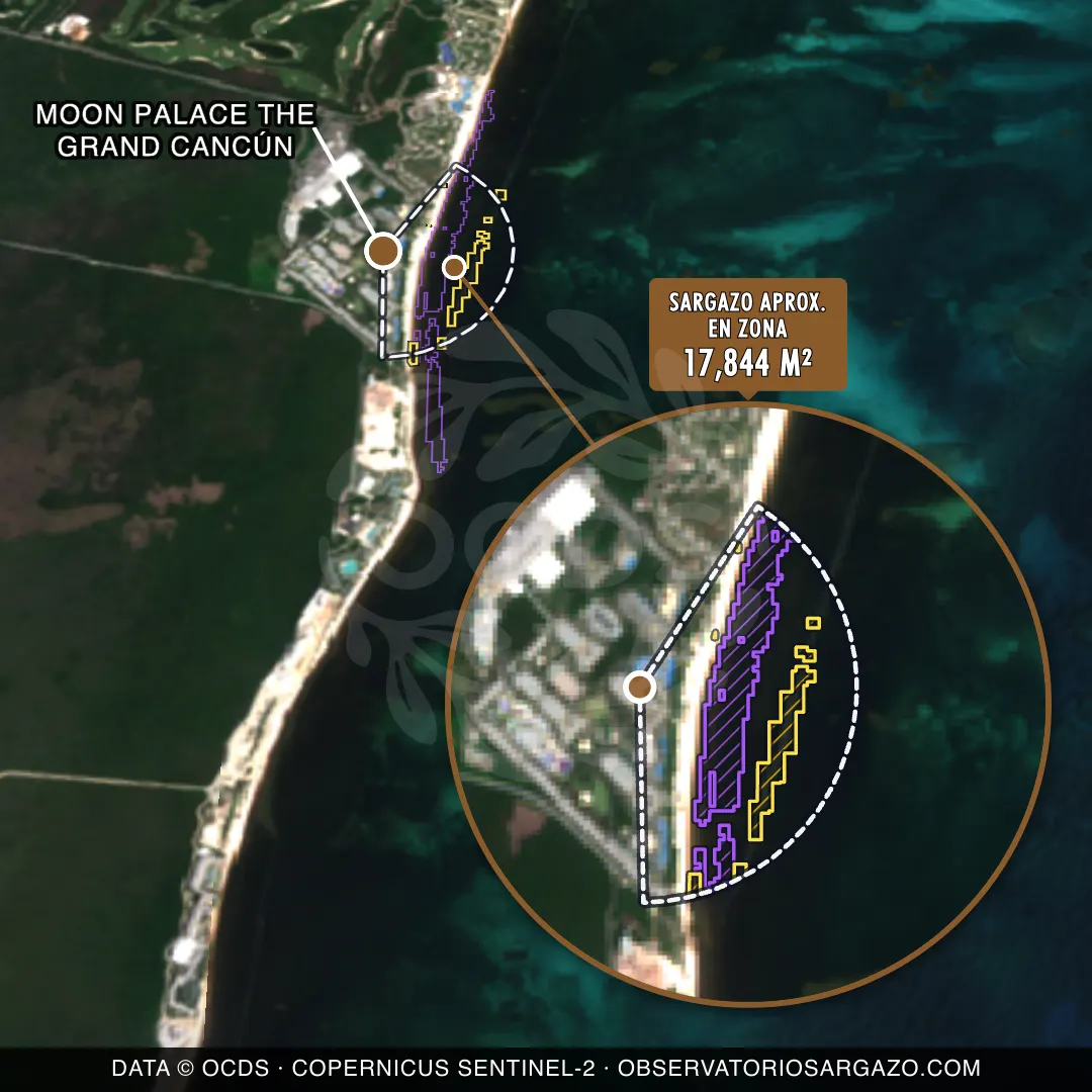 Estado del sargazo — Moon Palace The Grand Cancún