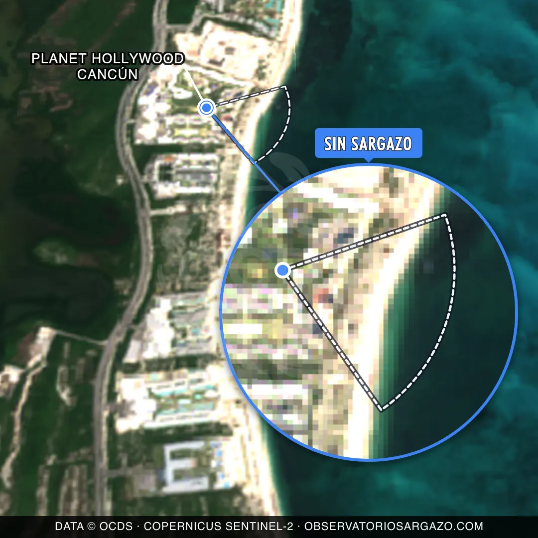 Estado del sargazo — Planet Hollywood Cancún