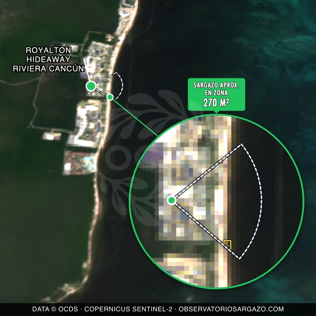 Estado del sargazo — Royalton Hideaway Riviera Cancún