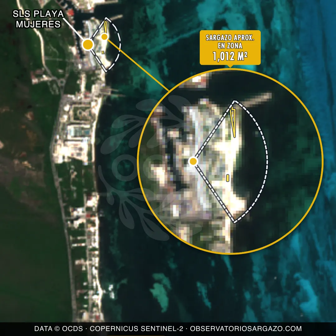 Estado del sargazo — SLS Playa Mujeres