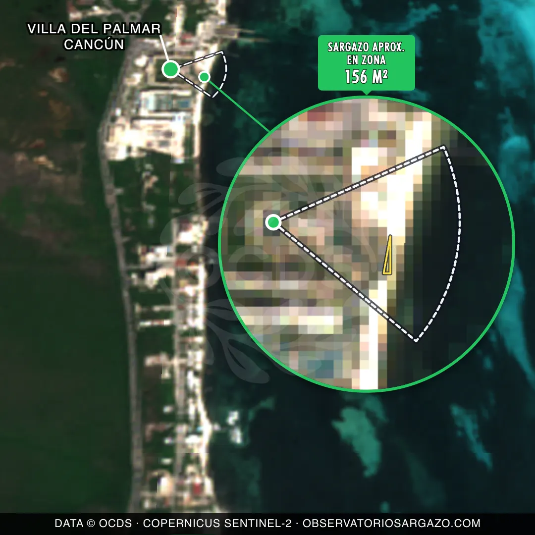 Estado del sargazo — Villa del Palmar Cancún