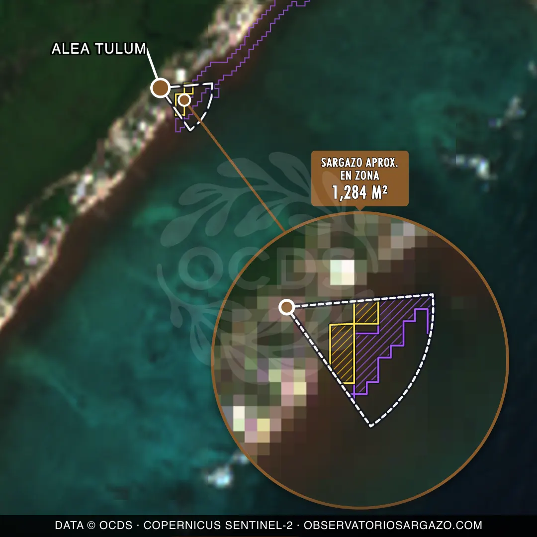 Stato del sargasso — Alea Tulum