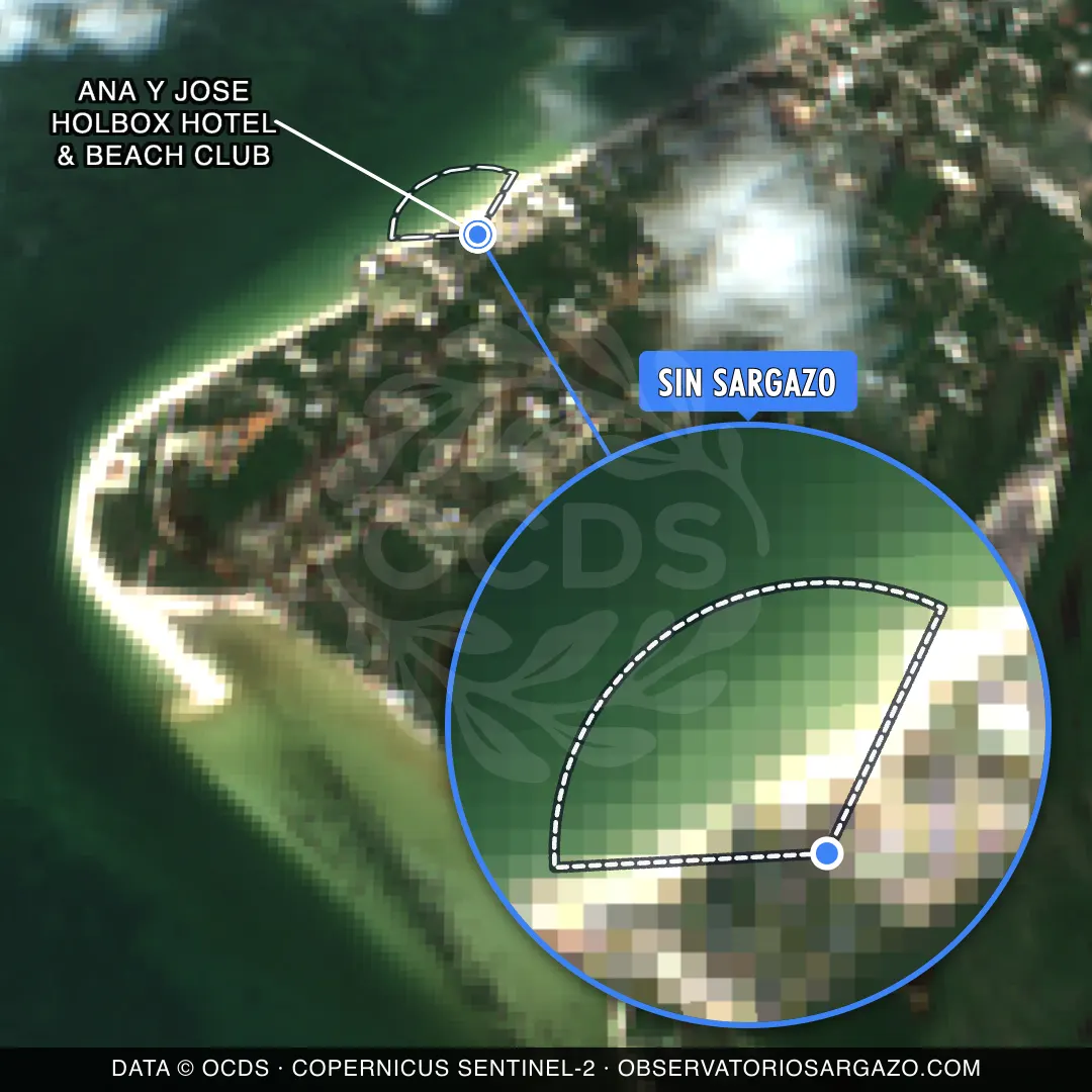 Stato del sargasso — Ana y Jose Holbox Hotel & Beach Club