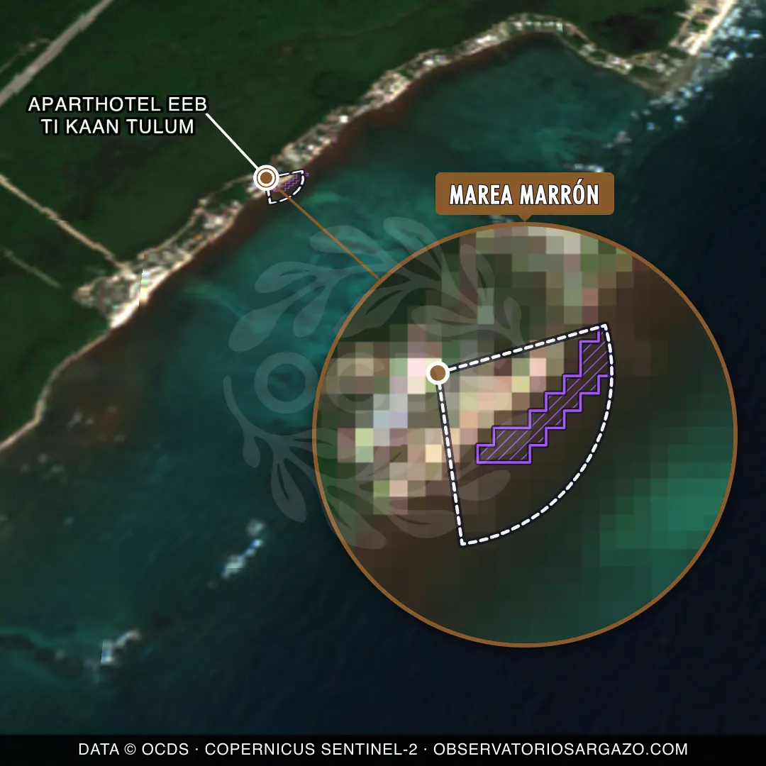 État des sargasses — Aparthotel Eeb Ti Kaan Tulum