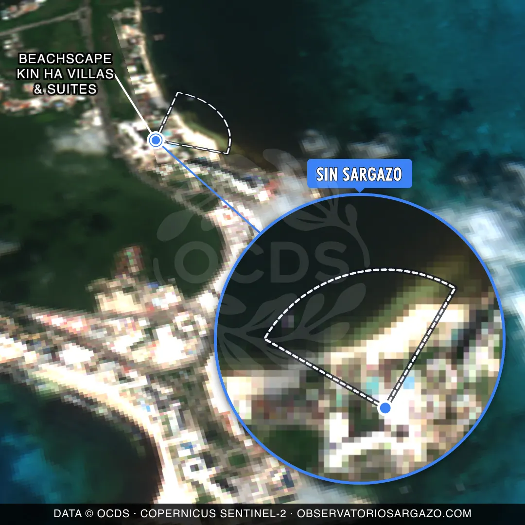 Stato del sargasso — Beachscape Kin ha Villas & Suites