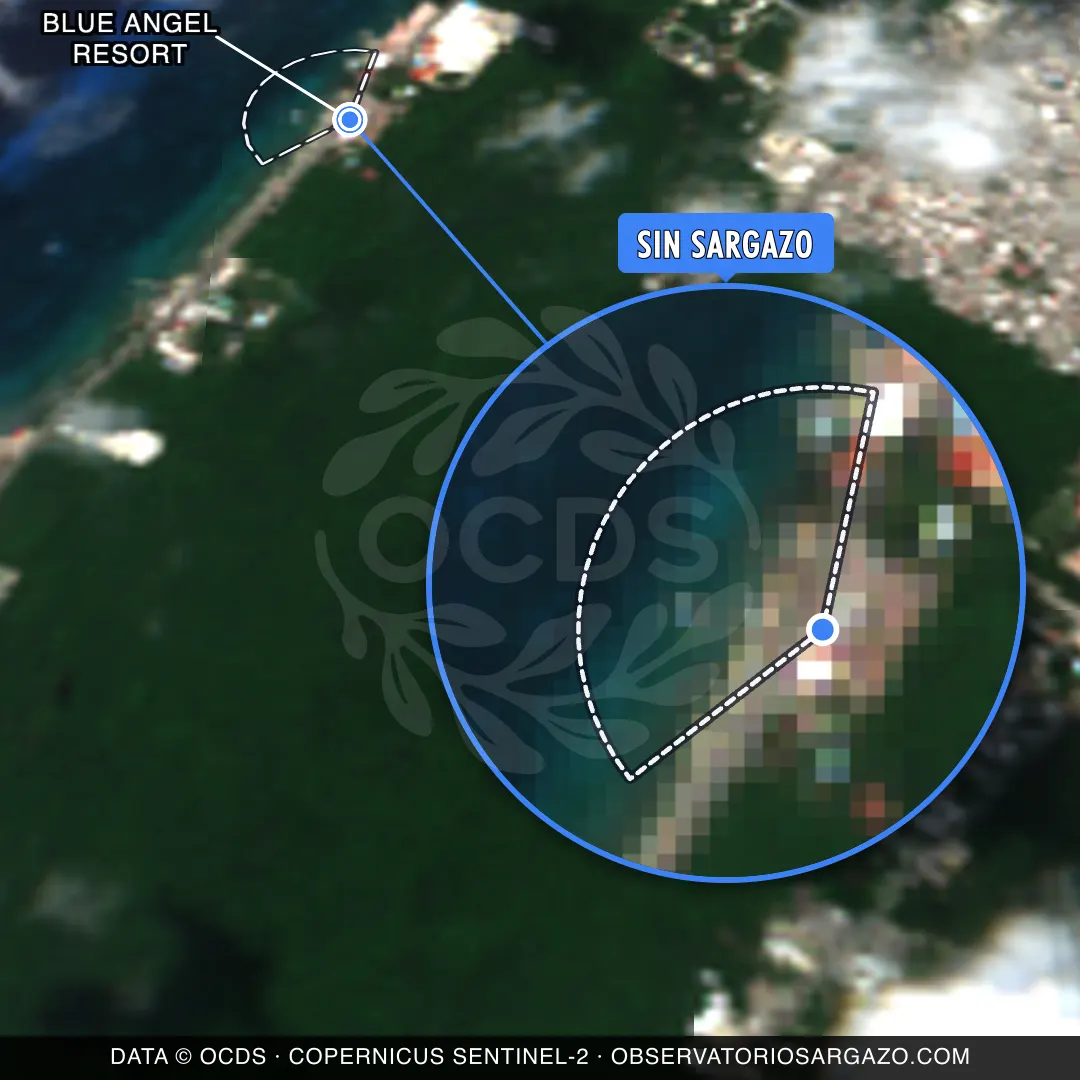 Stato del sargasso — Blue Angel Resort