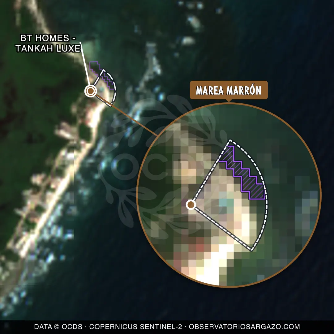 Stato del sargasso — BT Homes - Tankah Luxe