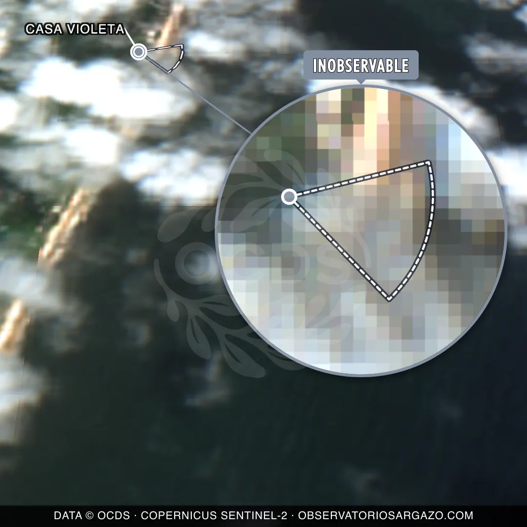État des sargasses — Casa Violeta