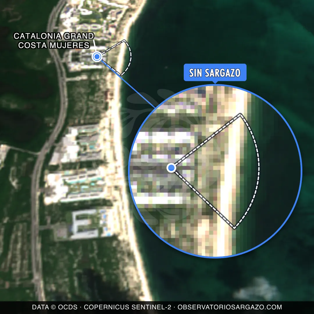 État des sargasses — Catalonia Grand Costa Mujeres