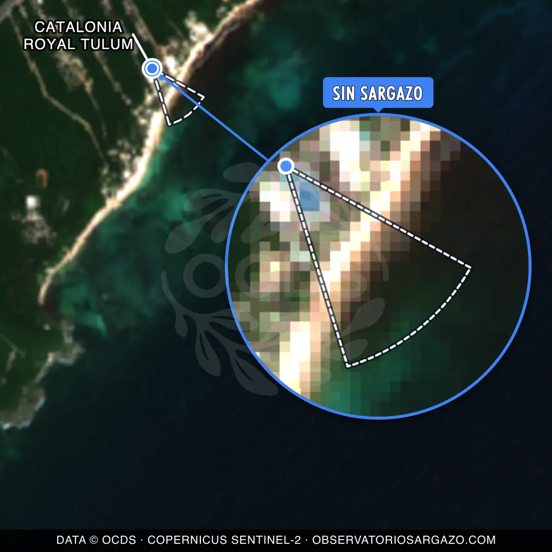 Estado del sargazo — Catalonia Royal Tulum