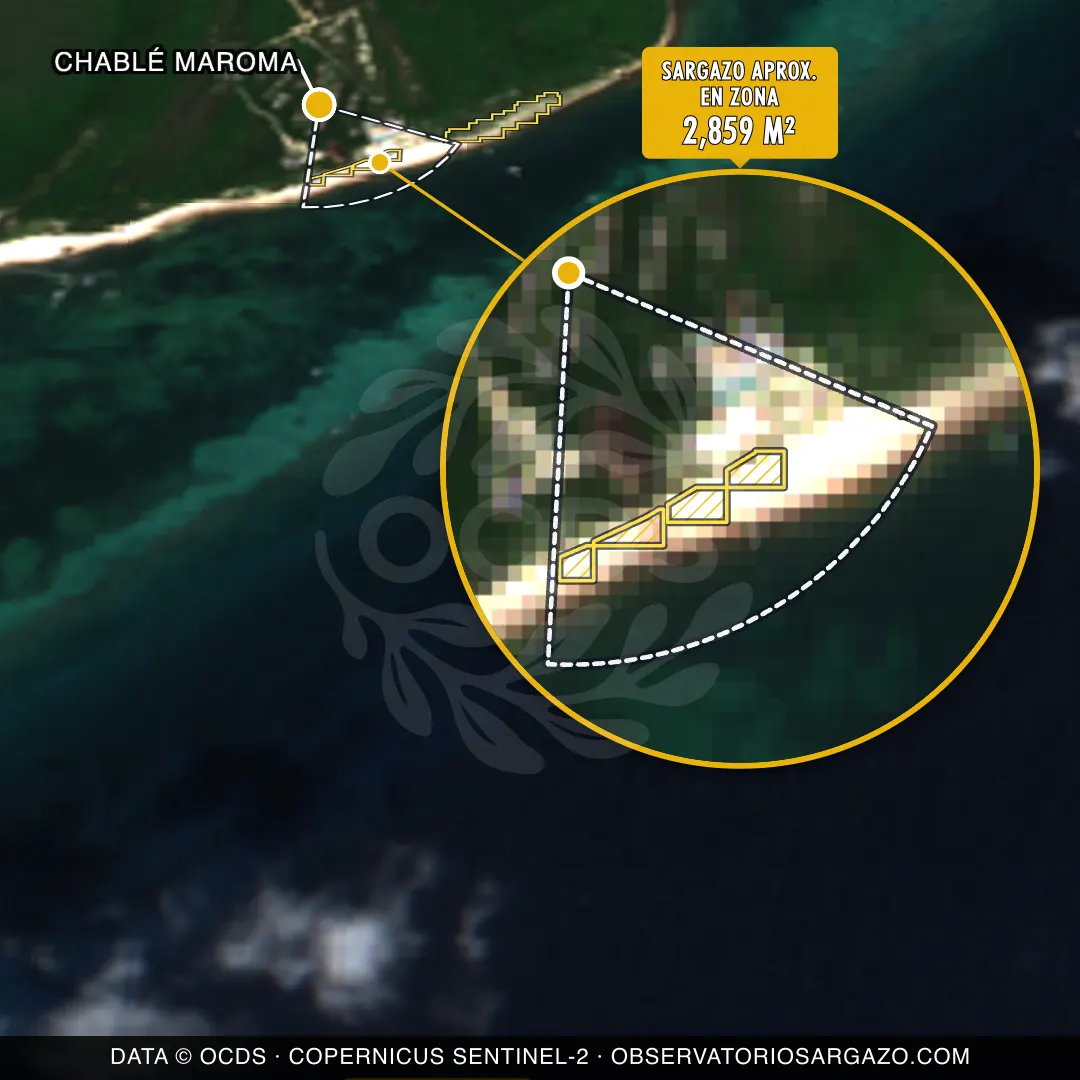 Stato del sargasso — Chablé Maroma