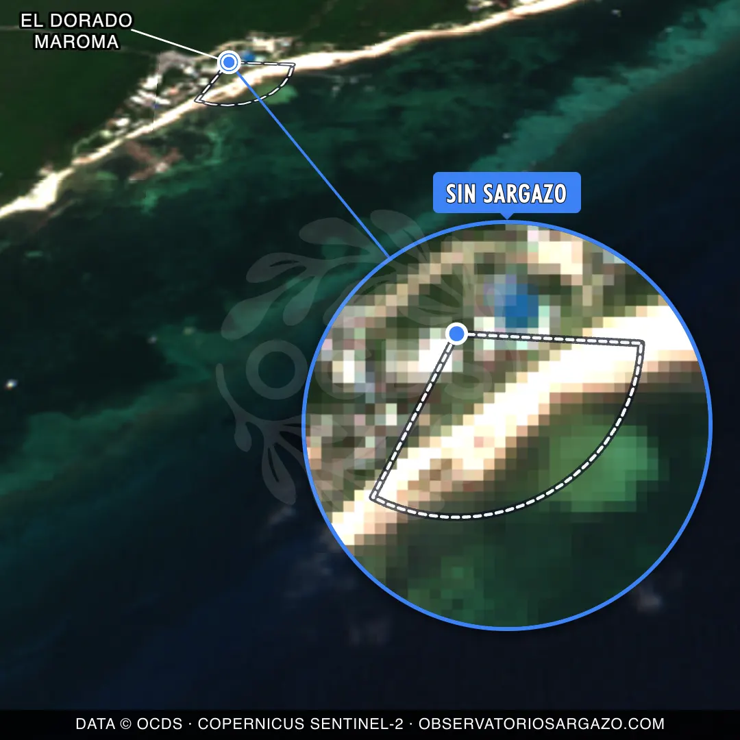 Stato del sargasso — El Dorado Maroma
