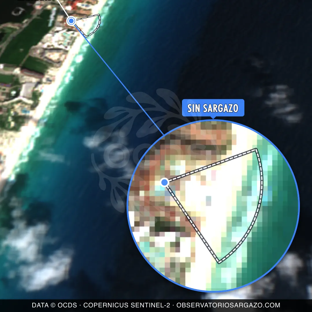 État des sargasses — Emporio Cancún
