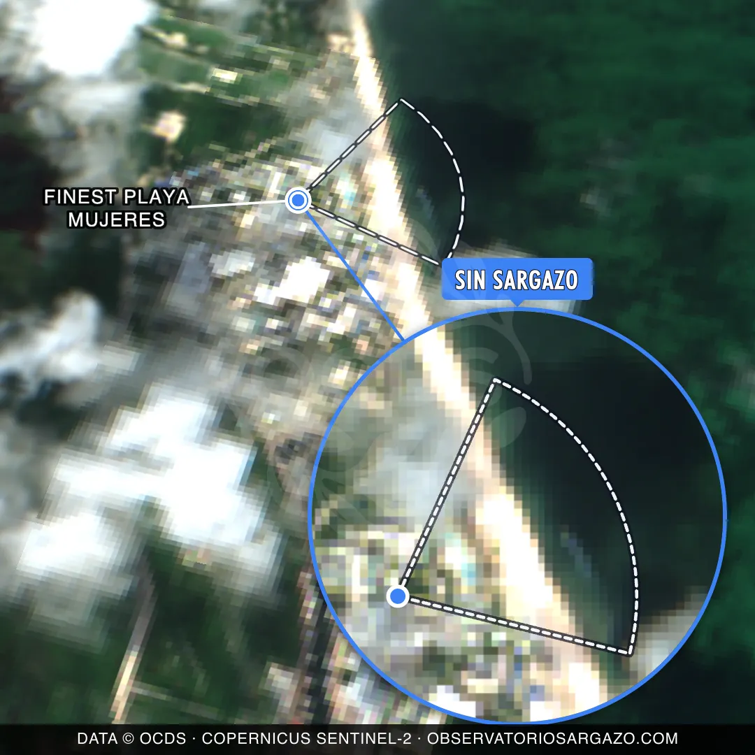 État des sargasses — Finest Playa Mujeres
