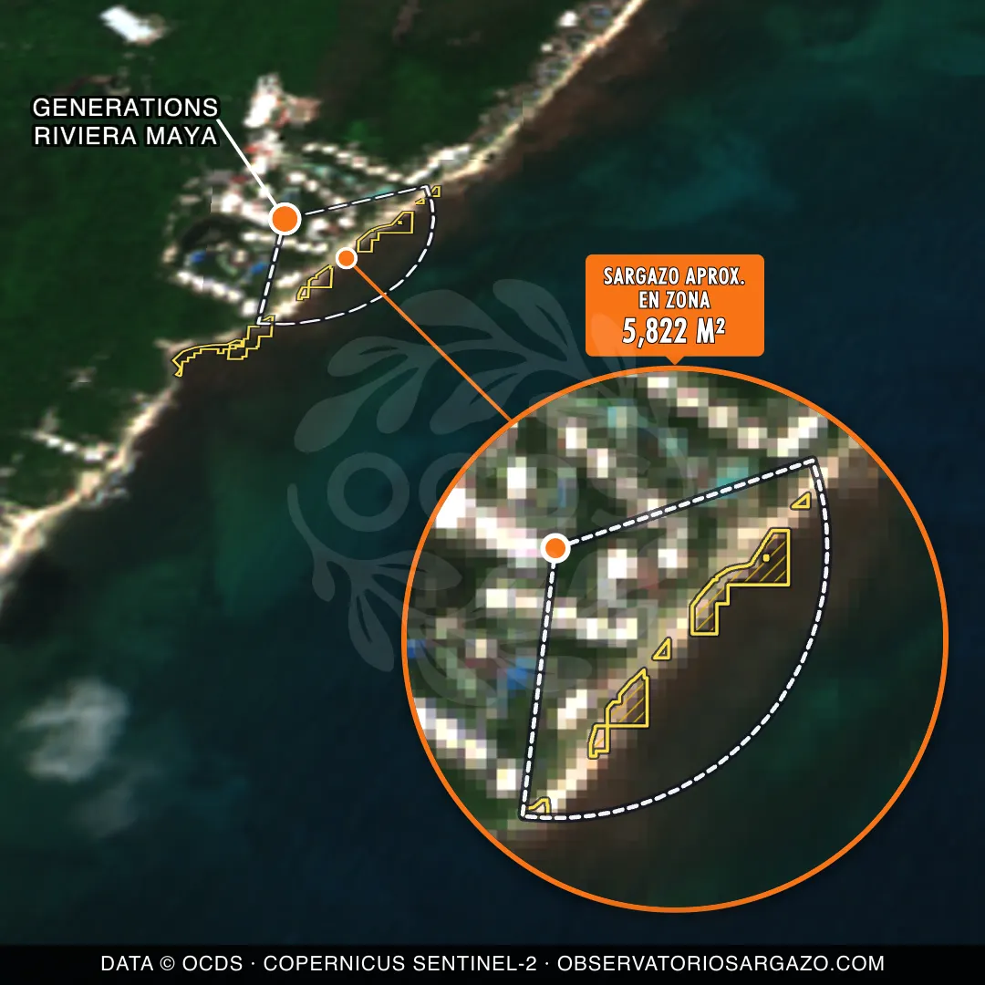 Stato del sargasso — Generations Riviera Maya