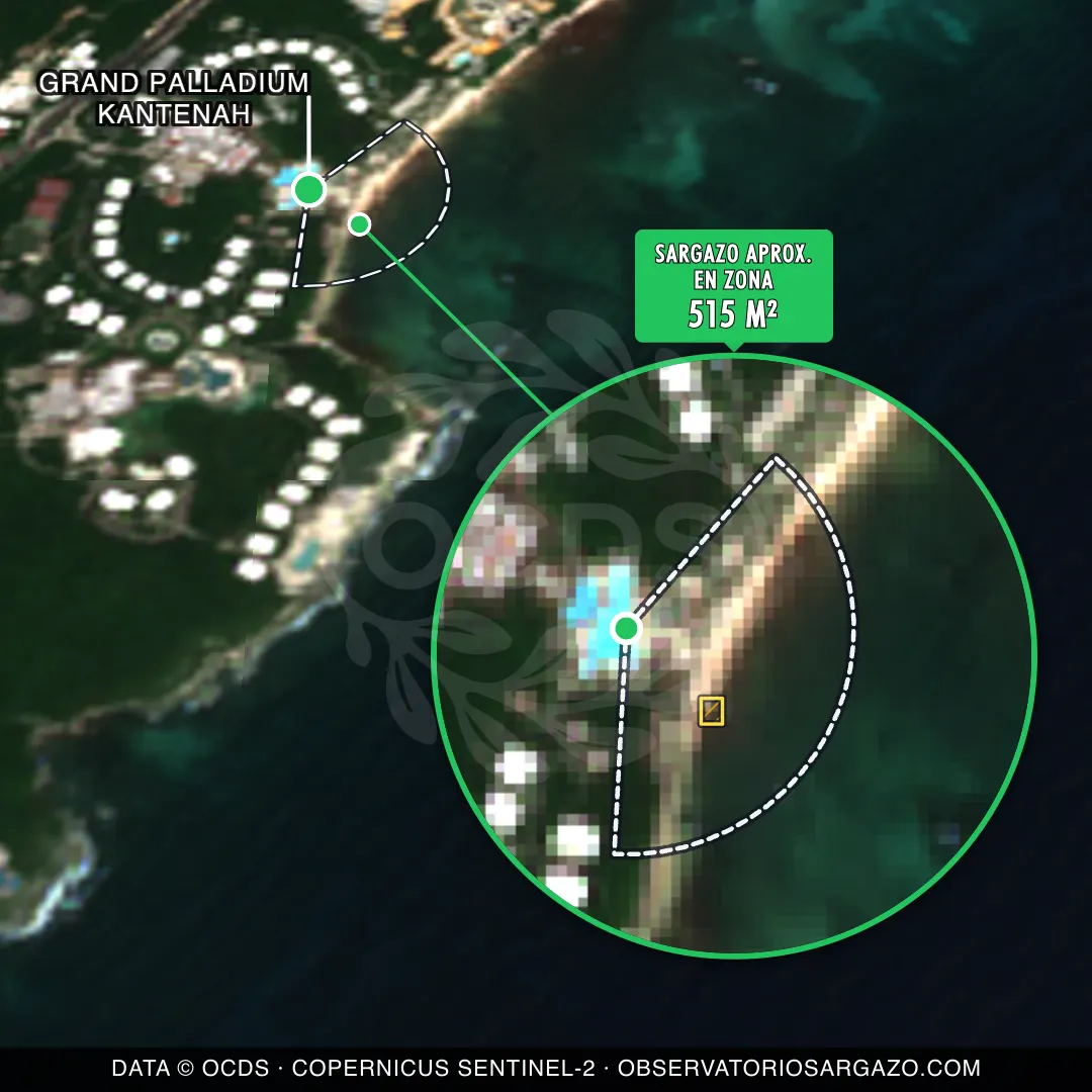 Stato del sargasso — Grand Palladium Kantenah