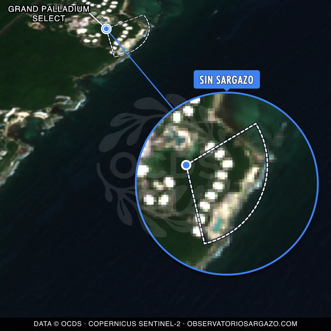 État des sargasses — Grand Palladium Select