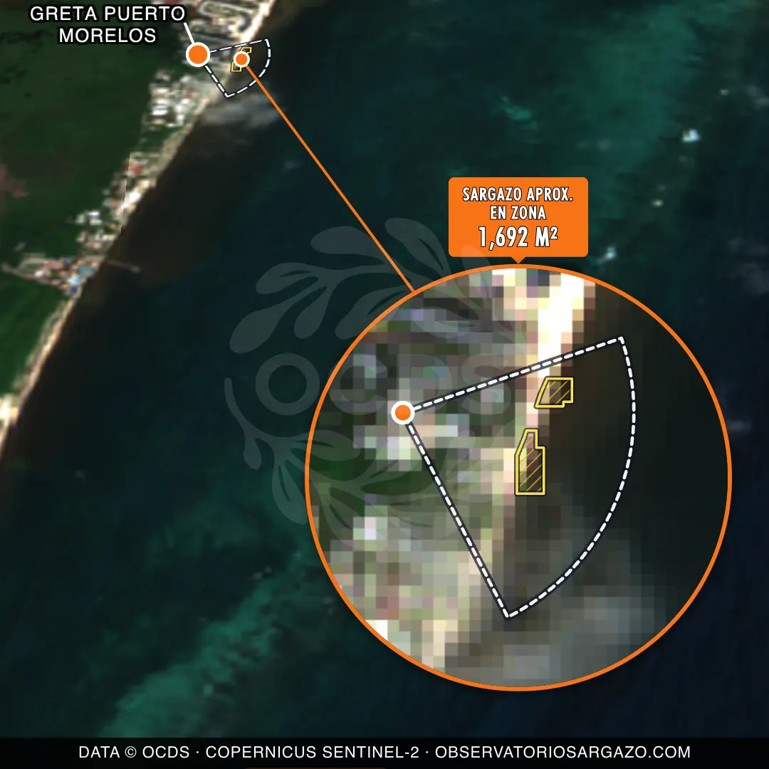 État des sargasses — Greta Puerto Morelos