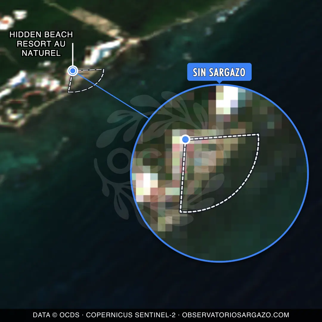 Estado del sargazo — Hidden Beach Resort Au Naturel