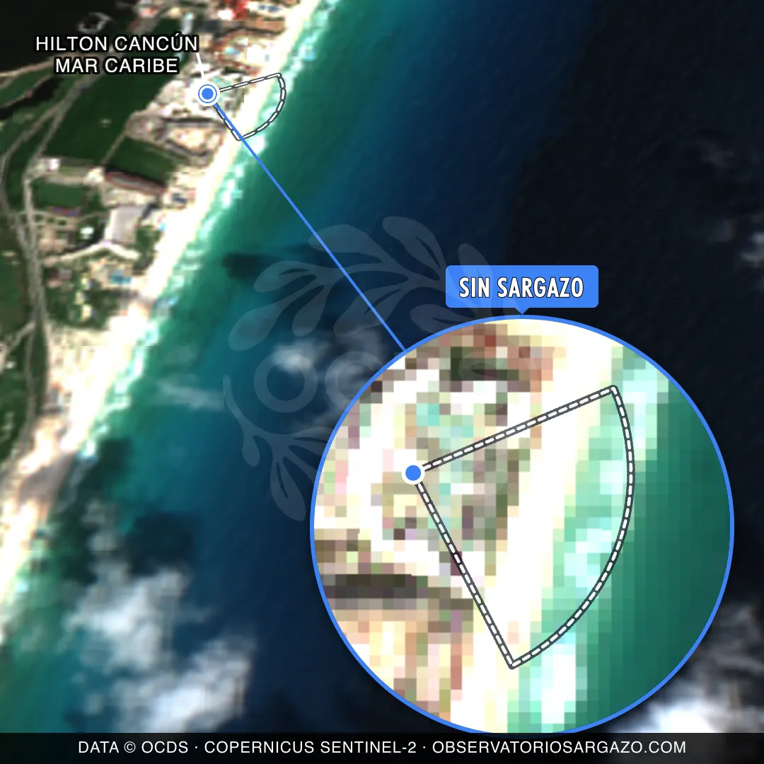 État des sargasses — Hilton Cancún Mar Caribe