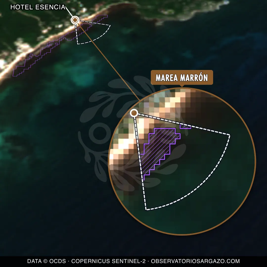 Stato del sargasso — Hotel Esencia